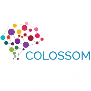 Colossom IT-Freelancer in Chennai,India