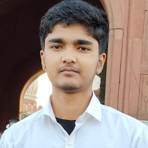 Wahid Ansari-Freelancer in Delhi,India