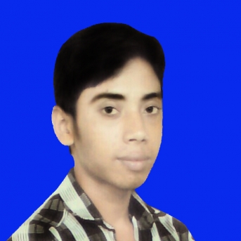 Md Rakibul Islam Chowdhury-Freelancer in Dinajpur, Bangladesh,Bangladesh