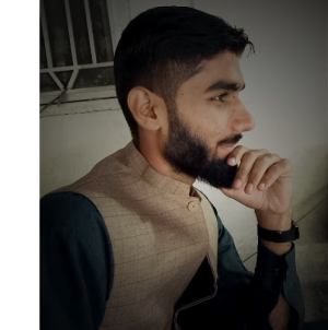 Muhammad Ahmed Raza-Freelancer in POF, Wah Cantt,Pakistan