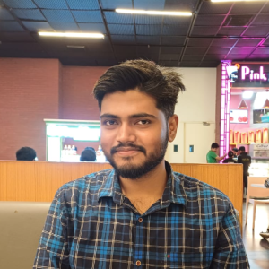 Subhasish Palaur-Freelancer in Delhi,India