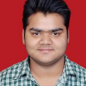 Himanshu Singh-Freelancer in Bengaluru,India