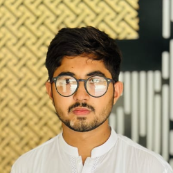 Ch Zain-Freelancer in Faisalabd,Pakistan