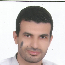 Mohamed Salah-Freelancer in ,Egypt