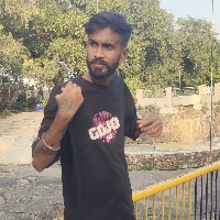 Hardik Chauhan-Freelancer in Udaipur Division,India