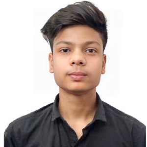 Md Fardeen-Freelancer in Delhi,India