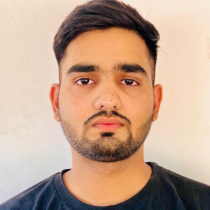 Mayur Lohar-Freelancer in Udaipur,India,India