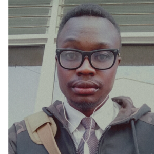 Hawie Audi-Freelancer in Ongata Rongai,Kenya