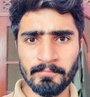 Taimoor Malik-Freelancer in Bahawalpur,Pakistan