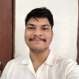 Wasim Ahmed-Freelancer in Delhi,India