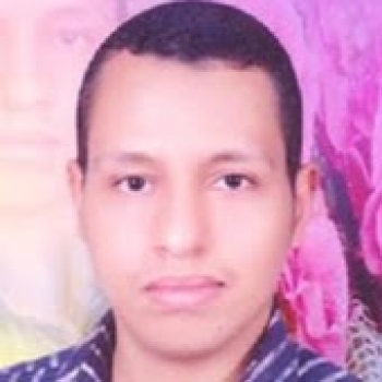 Wael Salah-Freelancer in Cairo - Nasr City,Egypt