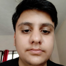 Sahil Thakur-Freelancer in Delhi,India