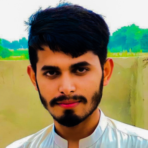 Ch Hassan Rehman-Freelancer in Vehari,Pakistan