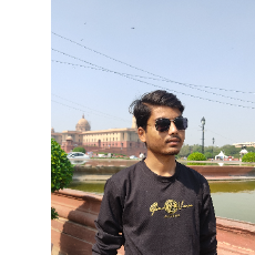 Abu Ansari-Freelancer in Lucknow Division,India