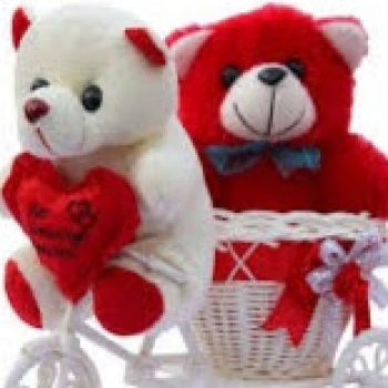 Nidhini Susan Mathew-Freelancer in Hyderabad,India