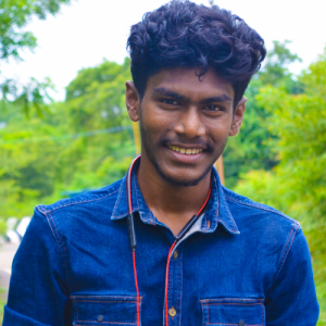 Stanly Gowtham-Freelancer in Chennai,India