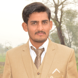 Mujahid Hussain-Freelancer in Multan,Pakistan