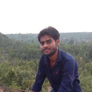 Sunil Verma-Freelancer in satna mp ,India