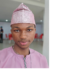 Timothy Benjamin-Freelancer in Lagos state,Nigeria