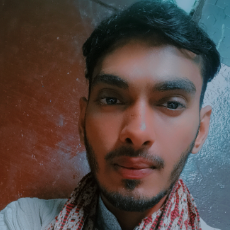 Hasan Raza-Freelancer in Lucknow,India