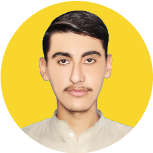 IJ DESIGNER-Freelancer in Peshawar,Pakistan