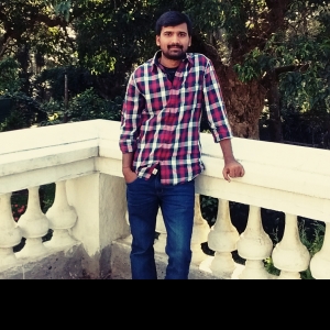 Praveen Kumar-Freelancer in Bengaluru,India