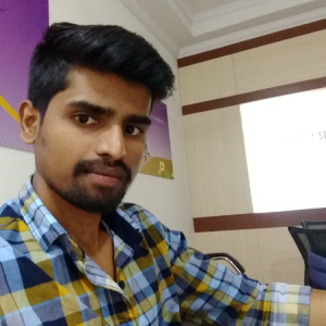 Praveen Kumar-Freelancer in Hyderabad,India