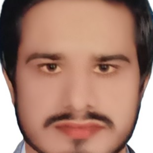 Hafeez Akbar-Freelancer in Kasur,Pakistan