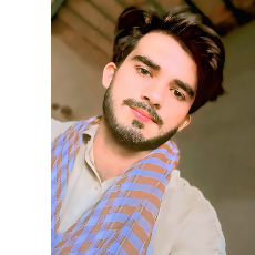 Qaiser Abbas-Freelancer in Mailsi,Pakistan