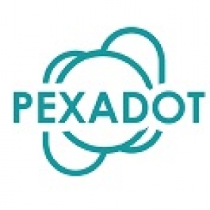 Pexadot Designs-Freelancer in Patna,India