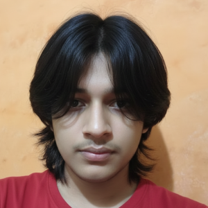 Aneesh Sharma-Freelancer in Bilaspur,India