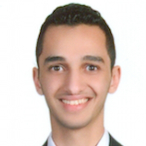 Mohamed Hussain-Freelancer in Alexandria,Egypt