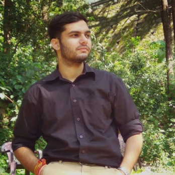 Divyam Kaushik-Freelancer in ,India