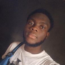Sheriffdeen Oni-Freelancer in Alimosho,Nigeria