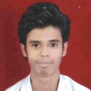 Nikhil Kayarkar-Freelancer in Nagpur,India