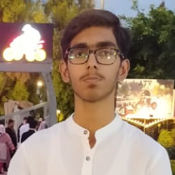 Muhammad Aliyan-Freelancer in Rawalpindi,Pakistan