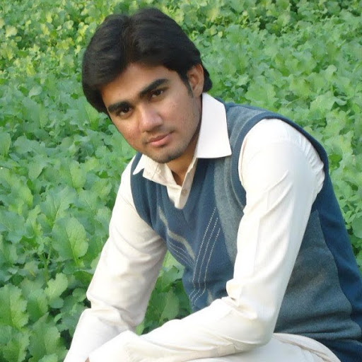 Amer Hasan -Freelancer in Lahore,Pakistan