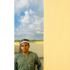 Uthman Zunurain Mahmud-Freelancer in Abuja,Nigeria