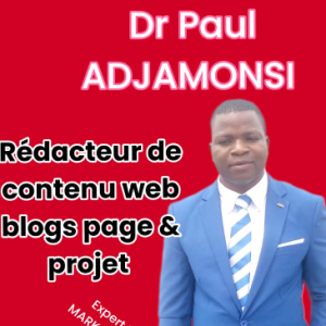 Dimon Paul Adjamonsi-Freelancer in Parakou,Benin