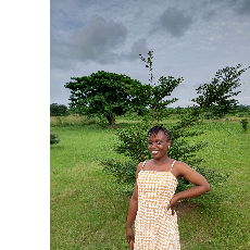 Deborah Edak-Freelancer in Uyo,Nigeria
