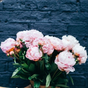 Ramya-Freelancer in Chennai,India