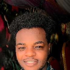 Prosper Anukposi-Freelancer in Abuja,Nigeria