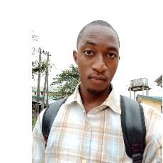 Gideon King-Freelancer in Owerri,Nigeria