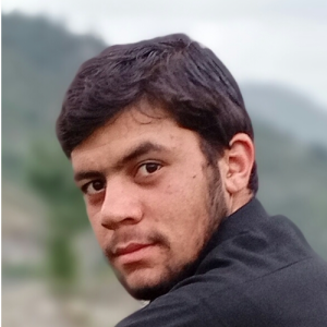 Kashif Khan-Freelancer in Islamabad,Pakistan
