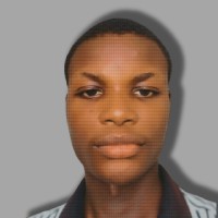 Victor Moses-Freelancer in Lagos,Nigeria