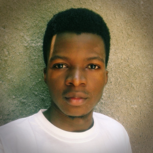 Seth-Pharès Gnavo-Freelancer in Cotonou,Benin