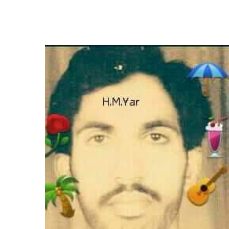 Hafiz Muhammad Yar Khurshid-Freelancer in Aminabad, Tehsil liaqatpur, Distt. Rahim yar khan,Pakistan