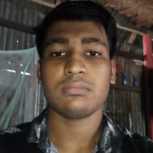 Mahfuz Rahman-Freelancer in Comilla,Bangladesh