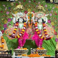 Hardik Prajapati-Freelancer in Ahmedabad,India