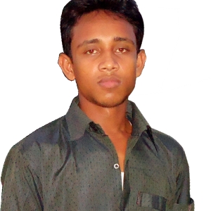 Rabiul Islam-Freelancer in Dhaka,Bangladesh
